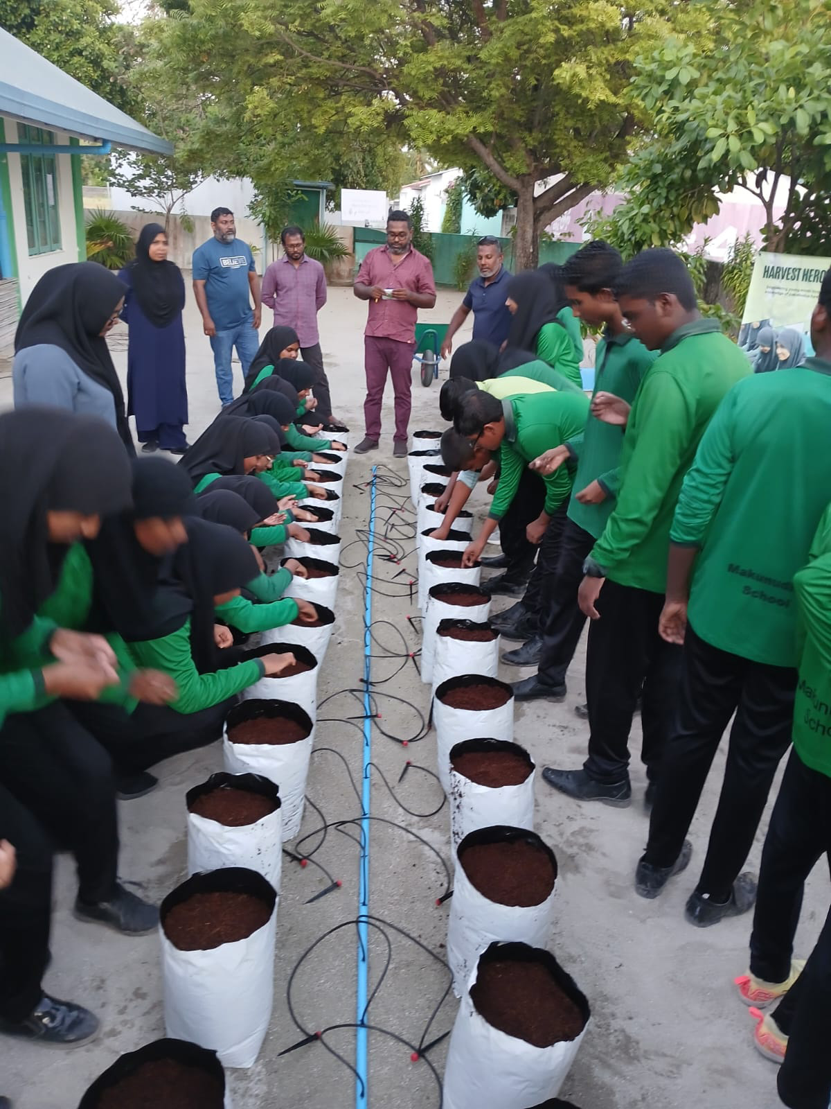 Harvest Heroes – Youth Farming,  HDh. Atoll